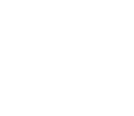 Logo da Fluxxo, agência que desenvolveu o site